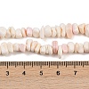 Natural Pink Shell Beads Strands SSHEL-L016-19-5