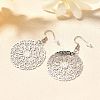 304 Stainless Steel Dangle Earrings EJEW-R015-01P-04-1