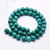Natural Magnesite Beads Strands G-I199-33-12mm-2