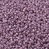 MIYUKI Delica Beads Small X-SEED-J020-DBS0253-3