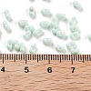 Baking Paint Glass Seed Beads SEED-A033-05R-4