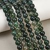 Natural Moss Agate Beads Strands G-F453-8mm-8