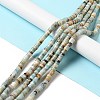 Natural Amazonite Heishi Beads Strands G-I326-08-2