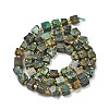 Natural African Turquoise(Jasper) Beads Strands G-G053-B19-05-3