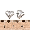 304 Stainless Steel Charms STAS-Z166-10P-3