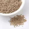 MIYUKI Delica Beads SEED-MY11-DB1731-1