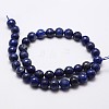 Natural Lapis Lazuli Beads Strands G-G736-22-6mm-2