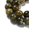 Natural Green Tourmaline Beads Strands G-B099-C05-03-4