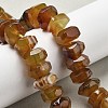 Natural Agate Beads Strands G-K392-A16-1
