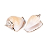 Electroplated Golden Brass Trim Natural Spiral Shell Big Pendants SSHEL-N042-35-2
