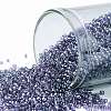 TOHO Round Seed Beads X-SEED-TR15-0206-1