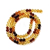 Gradient Color Natural Amber Beads Strands G-F803-F01-6mm-3
