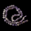 Natural Amethyst Beads Strands G-F817-A15-01-4