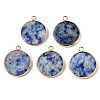 Natural Blue Spot Jasper Pendants G-Q998-010C-1