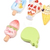 Opaque Resin Enamel Imitation Food Cabochons RE-CBAFAAF-02-2