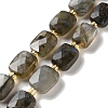 Natural Labradorite Beads Strands G-H061-A01-01-1