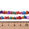 Natural Freshwater Shell Beads Strands SHEL-N038-06B-4