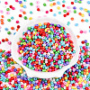6/0 Opaque Colours Glass Seed Beads SEED-N007-18C-2
