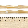 Natural Trochus Shell Beads Strands BSHE-G036-04-4
