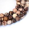 Natural Zebra Jasper Round Bead Strands G-E334-10mm-12-1