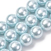 Electroplated Shell Pearl Beads Strands BSHE-G041-16mm-03-1