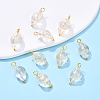 Glass Pendants PALLOY-YW00060-03-1