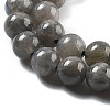 Natural Labradorite Beads Strands X-G-S333-6mm-035-01-3