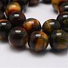 Natural Tiger Eye Bead Strands G-P230-05-8mm-3