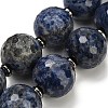 Natural Sodalite Beads Strands GG-CBA007A-D05-02-3