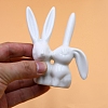 Porcelain Rabbit Sculpture Display Decorations PW-WG617B0-01-4