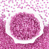 Transparent Inside Colours Glass Seed Beads SEED-T007-13D-1