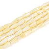 Anti-Tarnish Electroplate Glass Beads Strands GLAA-T025-27C-1