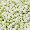 Baking Paint Glass Seed Beads SEED-F006-01A-07-3