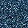 MIYUKI Delica Beads X-SEED-J020-DB2384-3