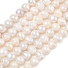 Natural Cultured Freshwater Pearl Beads Strands PEAR-L034-12G-2