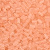 FGB Frosted Transparent Glass Seed Beads SEED-N013-05A-04-3