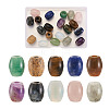 Craftdady 20Pcs 10 Style Natural & Synthetic Mixed Gemstone European Beads G-CD0001-06-7