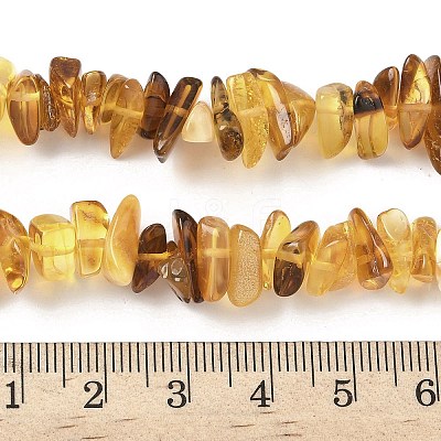 Natural Amber Beads Strands G-L095-D01-01-1