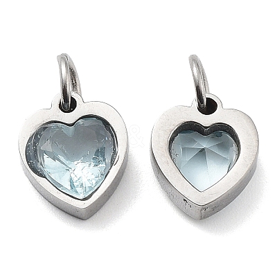 304 Stainless Steel Pendants STAS-D189-06P-14-1