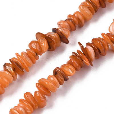 Natural Freshwater Shell Beads Strands SHEL-S278-071B-1