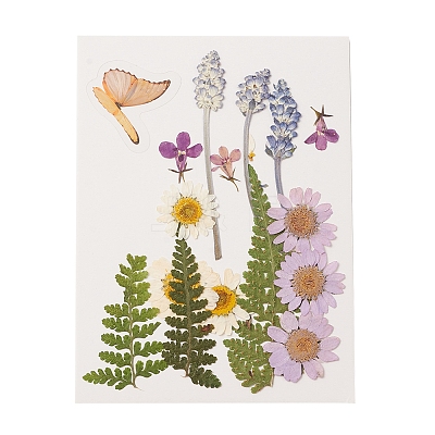 Pressed Dried Flowers DIY-YWC0001-94-1