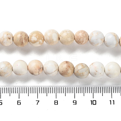 Dyed Natural Regalite/Imperial Jasper/Sea Sediment Jasper Beads Strands G-B124-C01-17-1