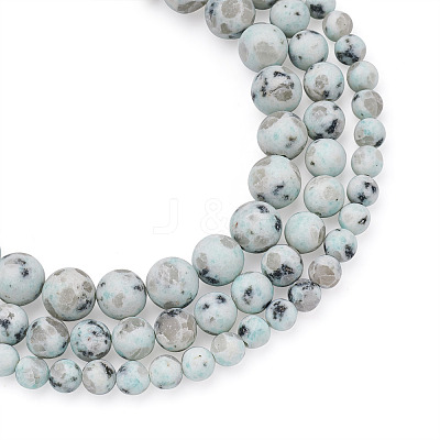 3 Strands 3 Style Natural Sesame Jasper/Kiwi Jasper Beads Strands G-YS0001-05-1