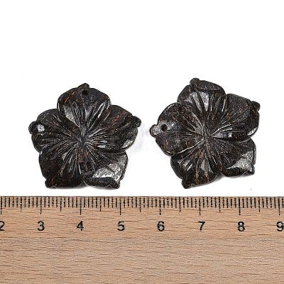 Natural Bronzite Carved Pendants G-B097-01A-12-1