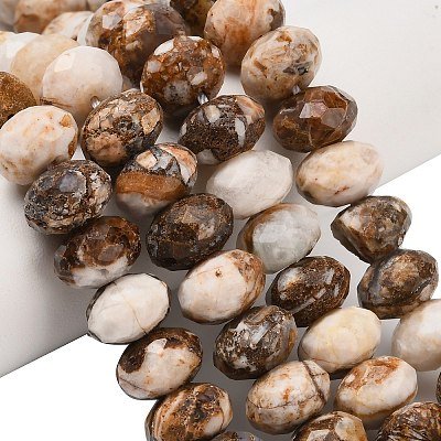 Natural Petrified Wood Beads Strands G-C259-A06-8x12mm-02-1