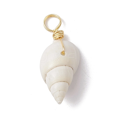Spiral Shell Pendants PALLOY-JF02492-01-1