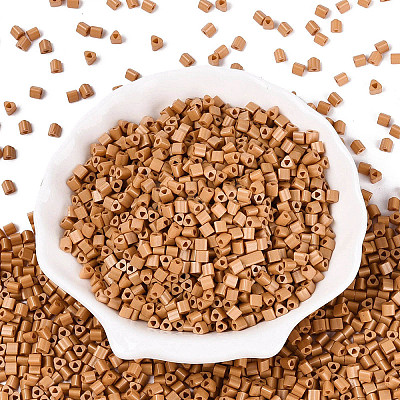 FGB Baking Paint Glass Seed Beads SEED-Q040-09A-06-1