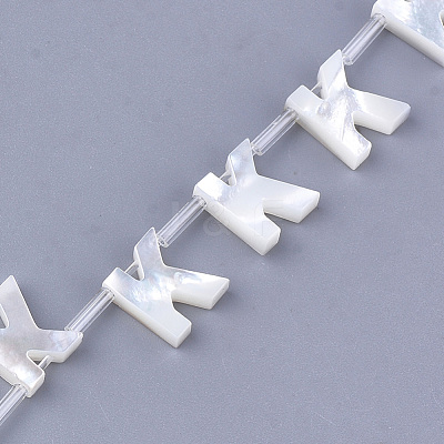 Sea Shell Beads X-SHEL-T012-60K-1