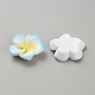 Two Tone Resin Cabochons RESI-WH20010-01E-1