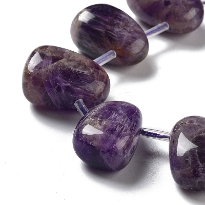Natural Amethyst Beads Strands G-P528-E06-01-1